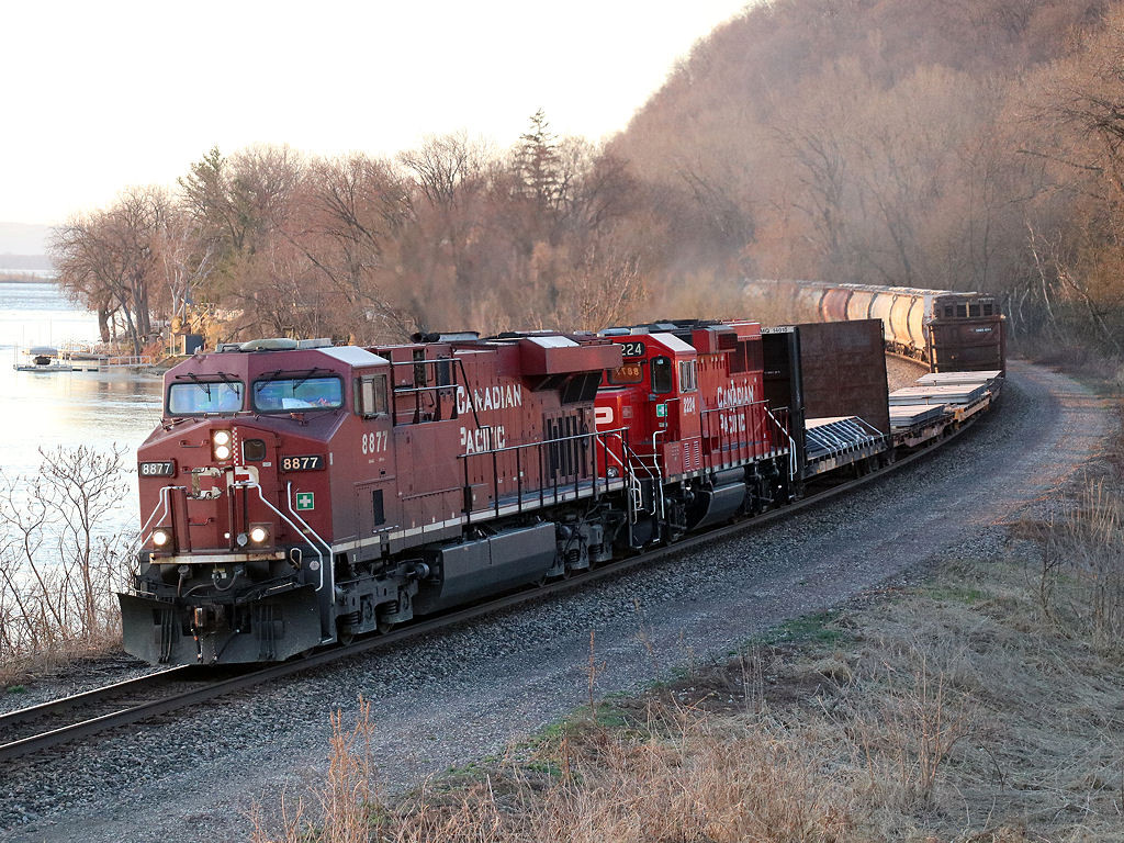 CP 8877